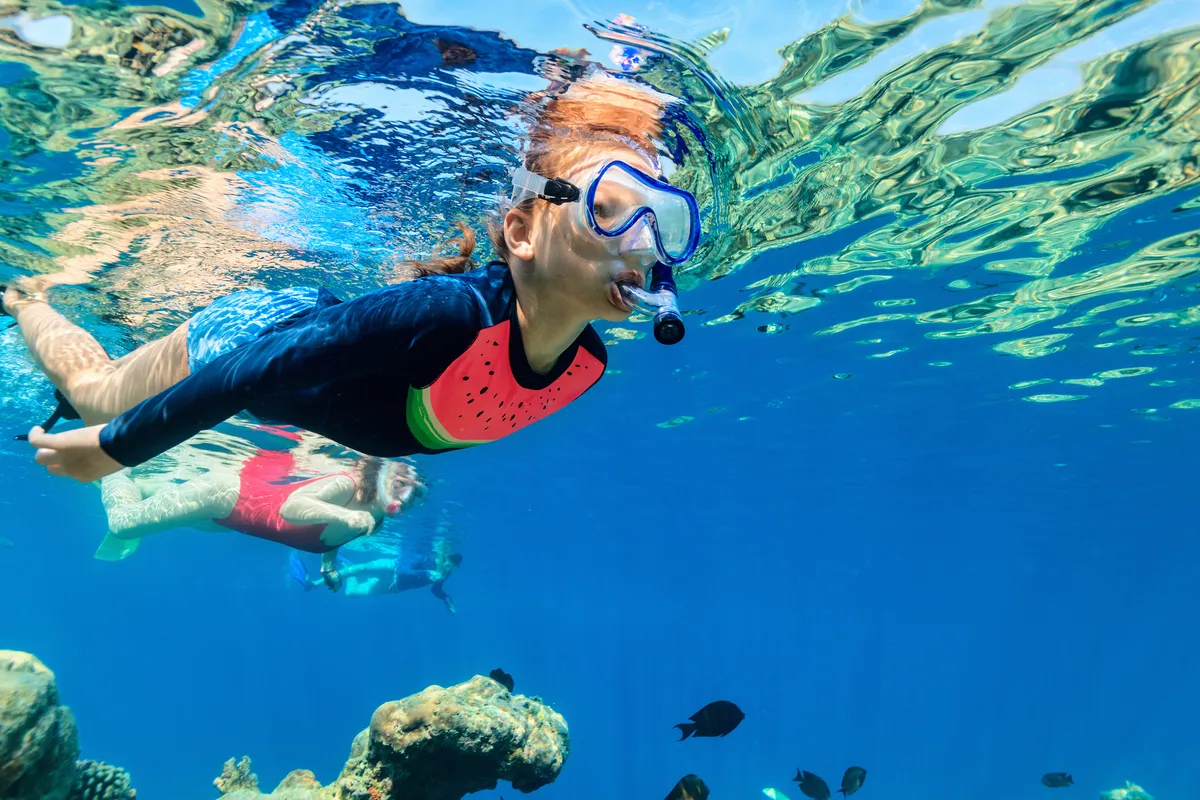 Snorkeling in Crystal Waters