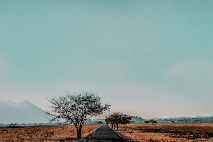 Baluran Savannah Safari