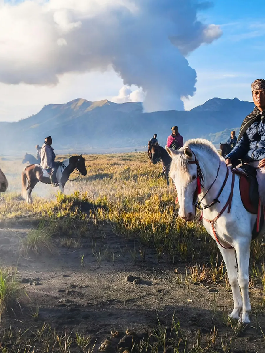 Sumba's Horse Culture