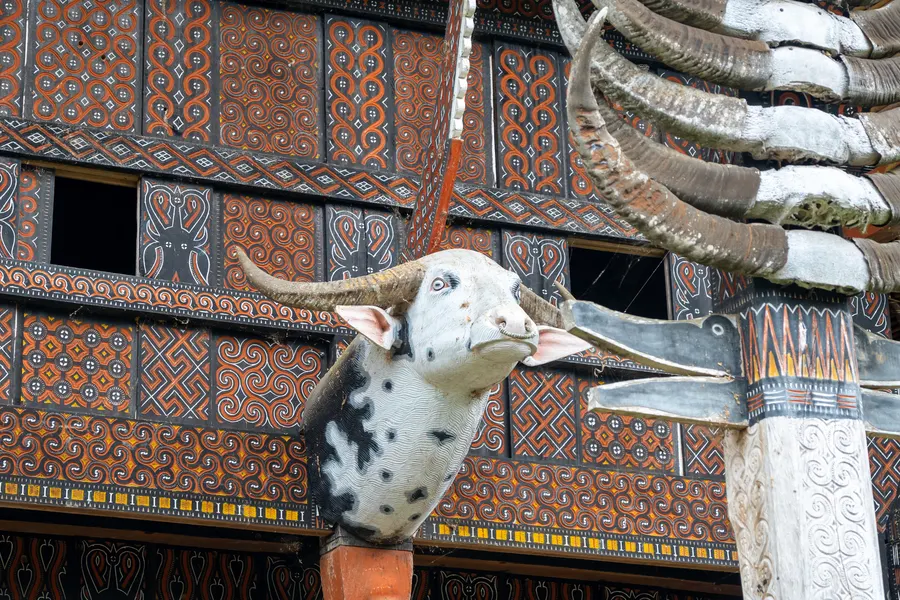 Rumah Tongkonan & Simbolisme Leluhur
